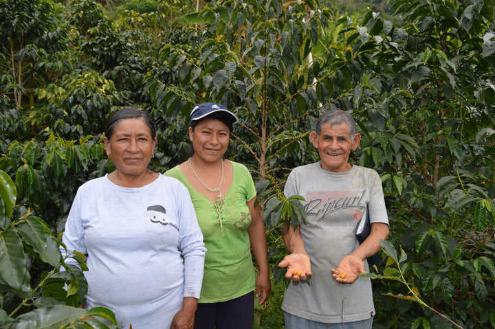 Donation to Coffee Producers