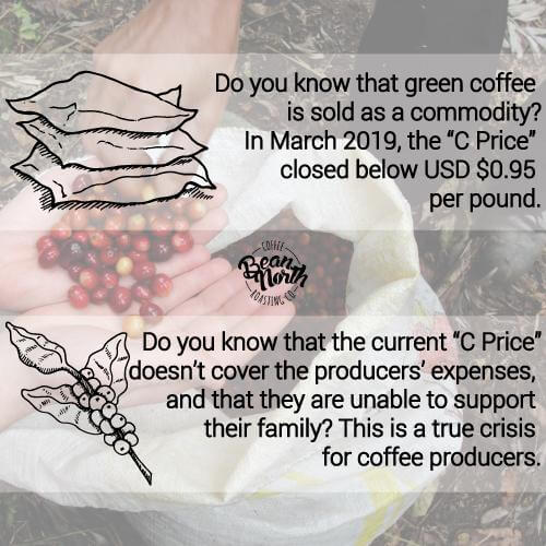 Green coffee's current price is a crisis for producers