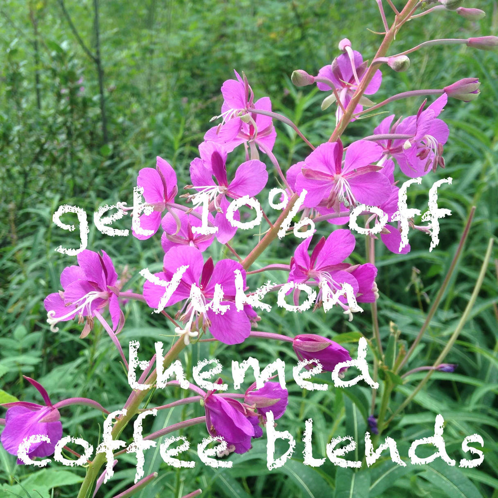 Last call for summer: Get a 10% discount on our Yukon themed coffee blends!