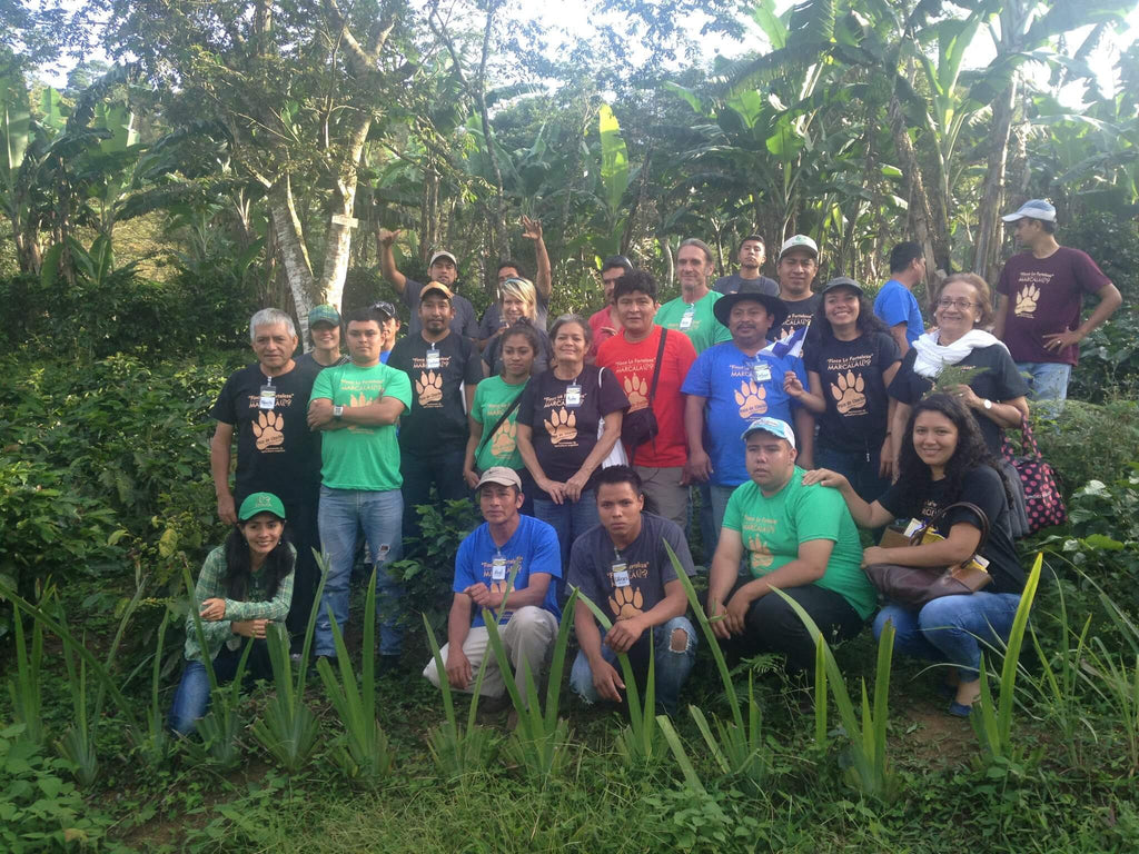 Our visit to Co-operative Café Orgánica Marcala in Honduras: Diplomados de Agricultura Orgánica