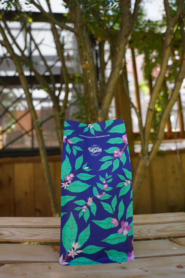 Nicaraguan Las Segovias Single Origin - Darker Roast