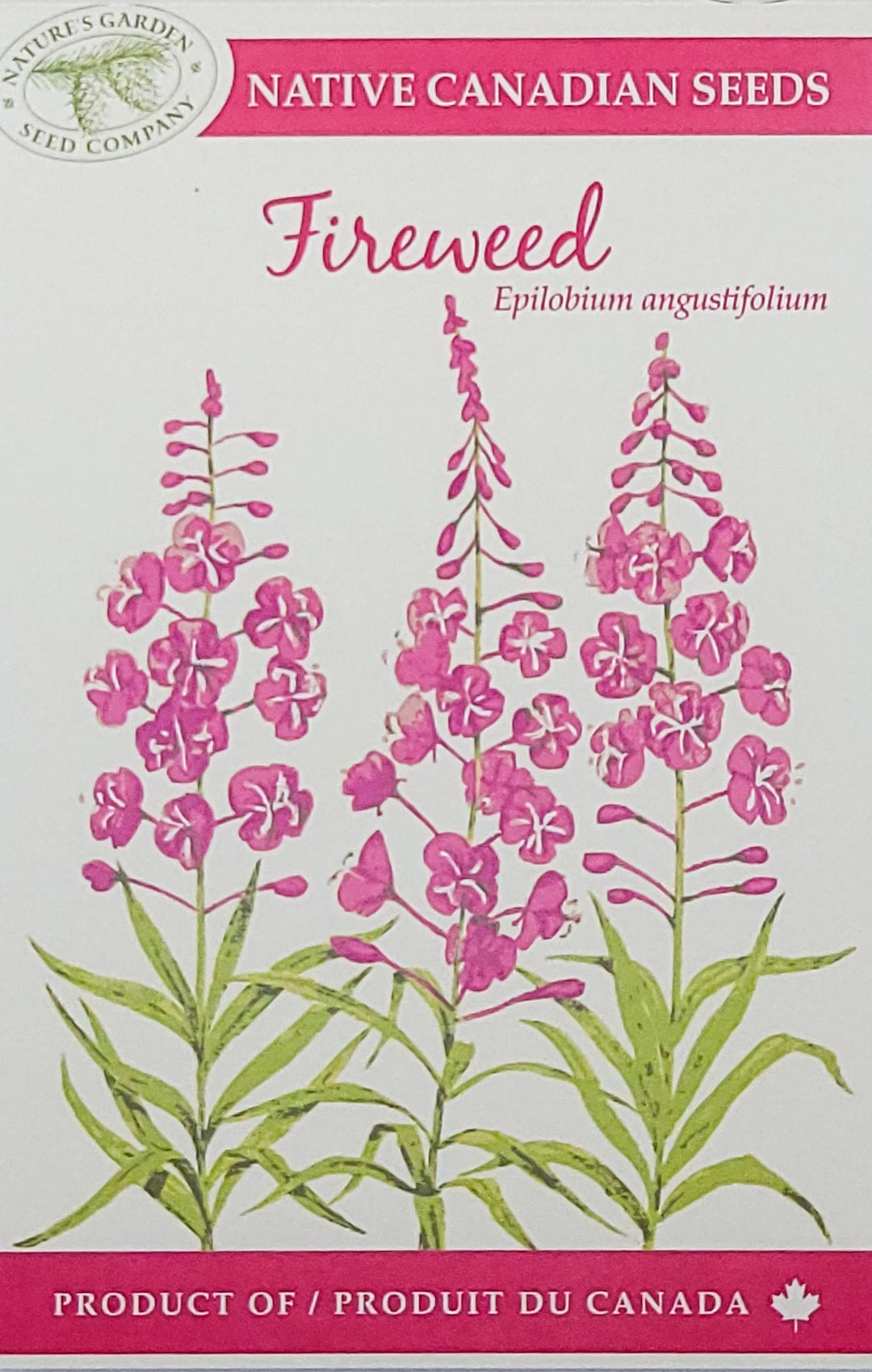 FIREWEED SEEDS