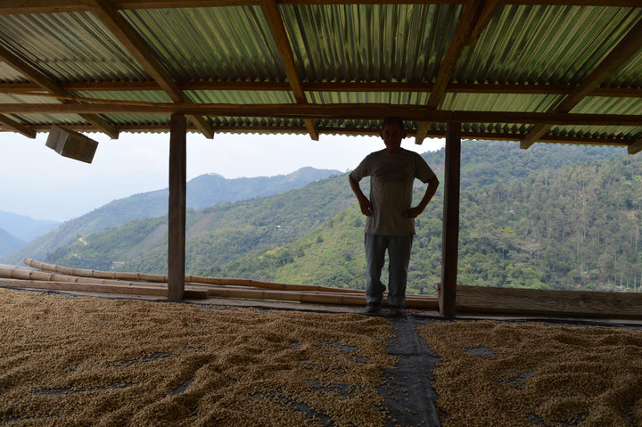 Donation to Coffee Producers